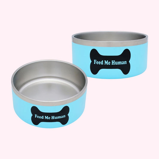 Why Your Dog Needs a Fun, Durable Bowl - Singing Wind Market