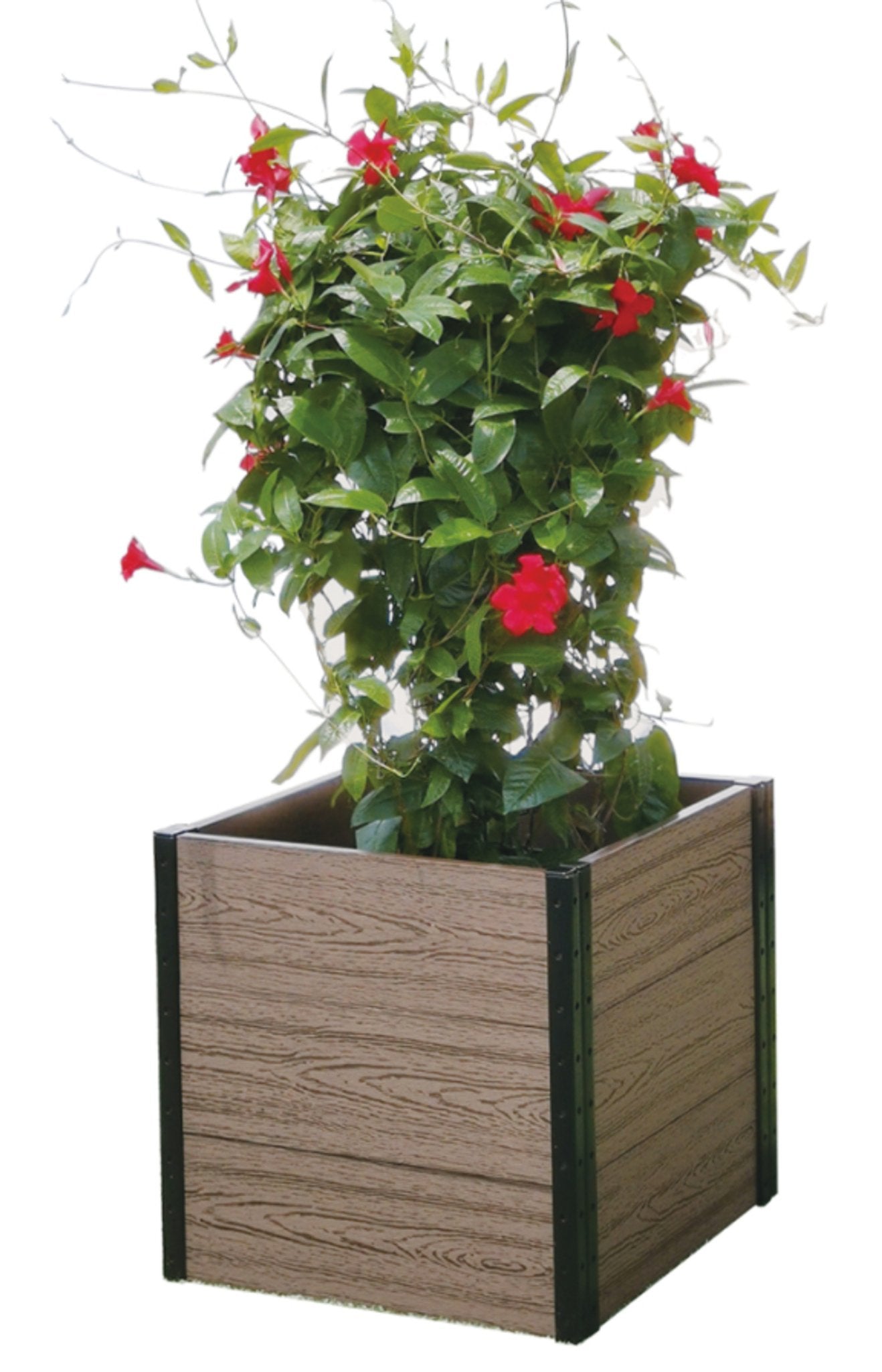 Cornerstone Planter Bed 21" L x 24" W x 21" H - Singing Wind Market