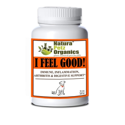 I Feel Good - Immune, Inflammation, Joint & Digestive Support* Dogs And Cats - Singing Wind Market