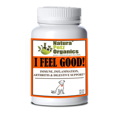 I Feel Good - Immune, Inflammation, Joint & Digestive Support* Dogs And Cats - Singing Wind Market