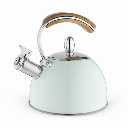 Presley Pistachio Tea Kettle By Pinky Up - Singing Wind Market